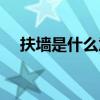 扶墙是什么意思网络（扶墙是什么意思）
