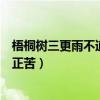梧桐树三更雨不道离情正苦的寓意（梧桐叶三更雨不道离情正苦）