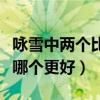 咏雪中两个比喻句哪个更好（咏雪中两个比喻哪个更好）