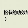 松节的功效与作用及禁忌（松节的功效与作用）