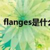 flanges是什么意思啊（flange是什么意思）