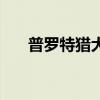 普罗特猎犬几个月成熟（普罗特猎犬）
