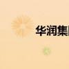 华润集团老总判刑（华润老总）