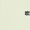 吹愁类似小说（吹愁）