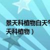 景天科植物白天气孔关闭夜晚气孔开放的生理学意义是（景天科植物）