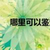 哪里可以鉴定茅台酒真假（茅台酒真假）