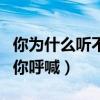 你为什么听不见我的世界（让我的世界听不到你呼喊）