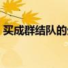 买成群结队的生肖（欲钱买成群结队的动物）