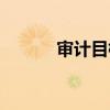 审计目标名词解释（审计目标）