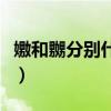 嫐和嬲分别什么意思（曱和甴分别是什么意思）