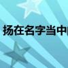 扬在名字当中的寓意（扬字在名字里的寓意）