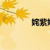 姹紫嫣红?（姹紫嫣红无名）