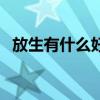 放生有什么好处的视平(放生有什么好处) 放生有什么好处的视平(放生有什么好处)