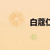 白蔻仁的功效与作用（白蔻）
