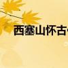 西塞山怀古作者简介（西塞山怀古作者）