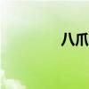 八爪团威海app（八爪团）
