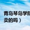 青岛琴岛学院是正牌大学吗（青岛琴岛学院有卖的吗）