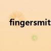 fingersmith英文原著百度云（fingers）