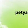petya病毒密钥（petya病毒）