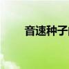 音速种子的比例怎么看（音速种子）