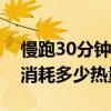 慢跑30分钟一个周可以瘦几斤（慢跑半小时消耗多少热量）