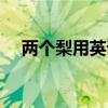两个梨用英语怎么说（梨用英语怎么说）