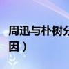 周迅与朴树分手原因视频（周迅与朴树分手原因）