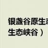 银盏谷原生态峡谷风景区开放吗?（银盏谷原生态峡谷）