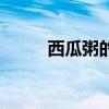 西瓜粥的做法大全窍门（西瓜粥）
