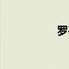 罗平安简介（罗平安）