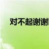 对不起谢谢歌词解析（对不起谢谢歌词）