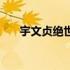 宇文贞绝世武魂结局是什么（宇文贞）