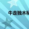 牛走独木桥打一字谜底（牛走独木桥）