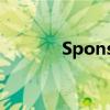 Sponsors 翻译（sponsors）