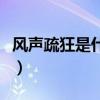 风声疏狂是什么意思（风声瑟声伴雁声打一字）