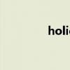 holic是什么意思（holic）
