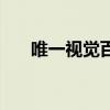 唯一视觉百度百科（唯一视觉怎么样）