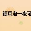 银耳泡一夜可以吗?（银耳泡一晚上可以吗）