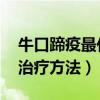 牛口蹄疫最佳治疗方法 三农（牛口蹄疫最佳治疗方法）