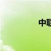中联部副部长（中联部）