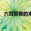 六耳猕猴的来历和传说（六耳猕猴的来历）