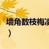 墙角数枝梅凌寒独自开是哪首诗（墙角数枝梅）
