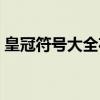 皇冠符号大全花样符号（皇冠符号图案大全）