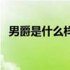 男爵是什么样的一个人（男爵是什么意思）