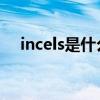 incels是什么意思（inches是什么意思）