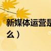 新媒体运营是什么职位类别（新媒体运营是什么）