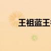 王祖蓝王祖蓝（王祖蓝父亲王严化）