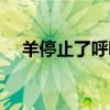 羊停止了呼吸猜一成语（羊停止了呼吸）