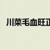 川菜毛血旺正宗配料（川菜毛血旺的做法）