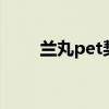 兰丸pet契约ii漫画（兰丸pet契约）